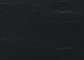 Coal Buffalo Leather
