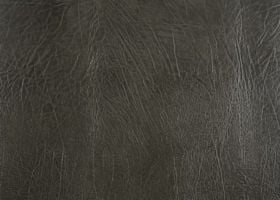 Grey Umber Buffalo