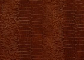 Mahogany Crocodile