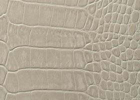 Paloma Grey Crocodile
