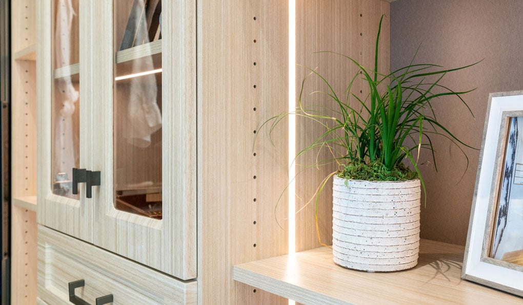 accessory-closet-backlight-closeup-plant