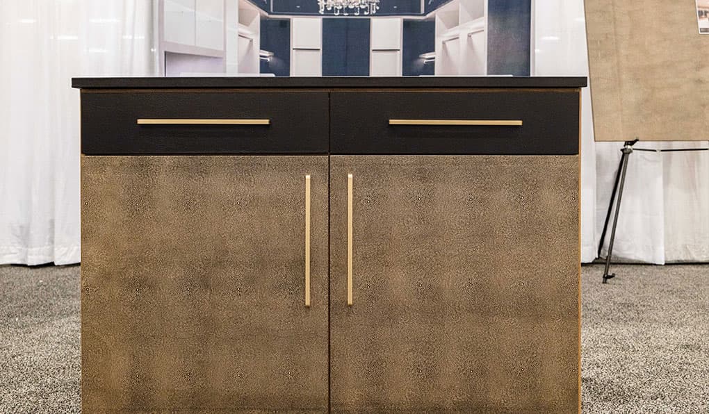 Cabinet with leather front doors